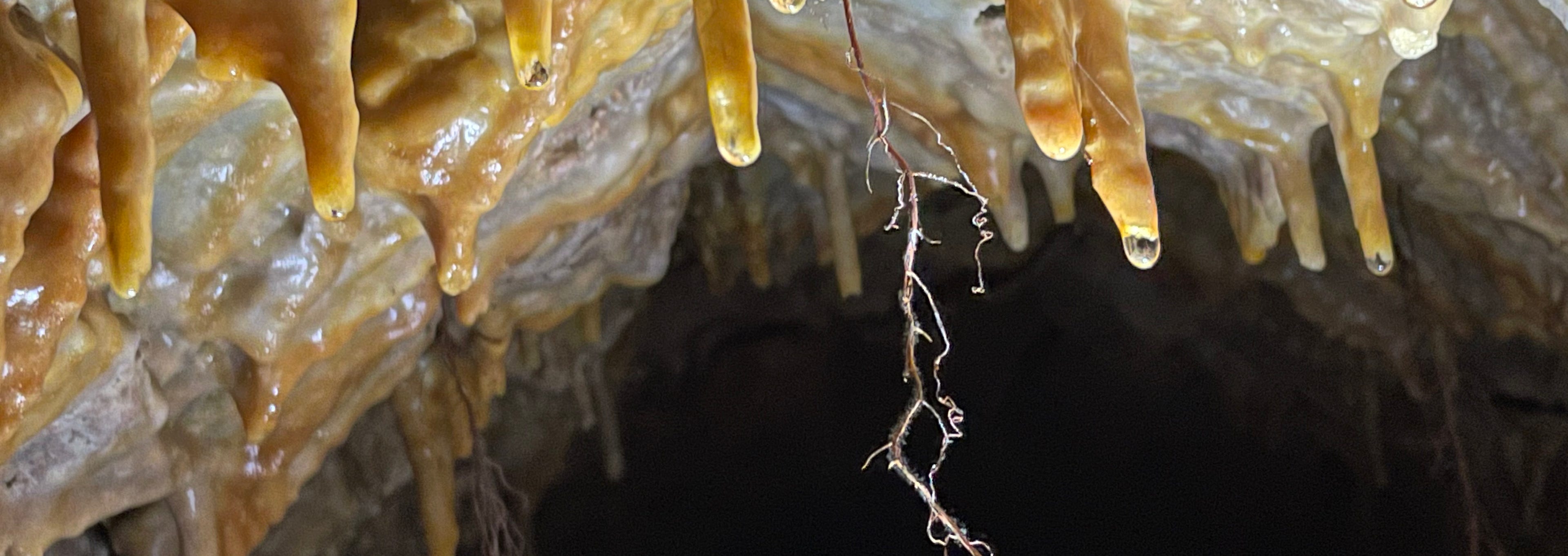 Spéléologue Éducateur à l’Environnement Karstique & Aquatique 