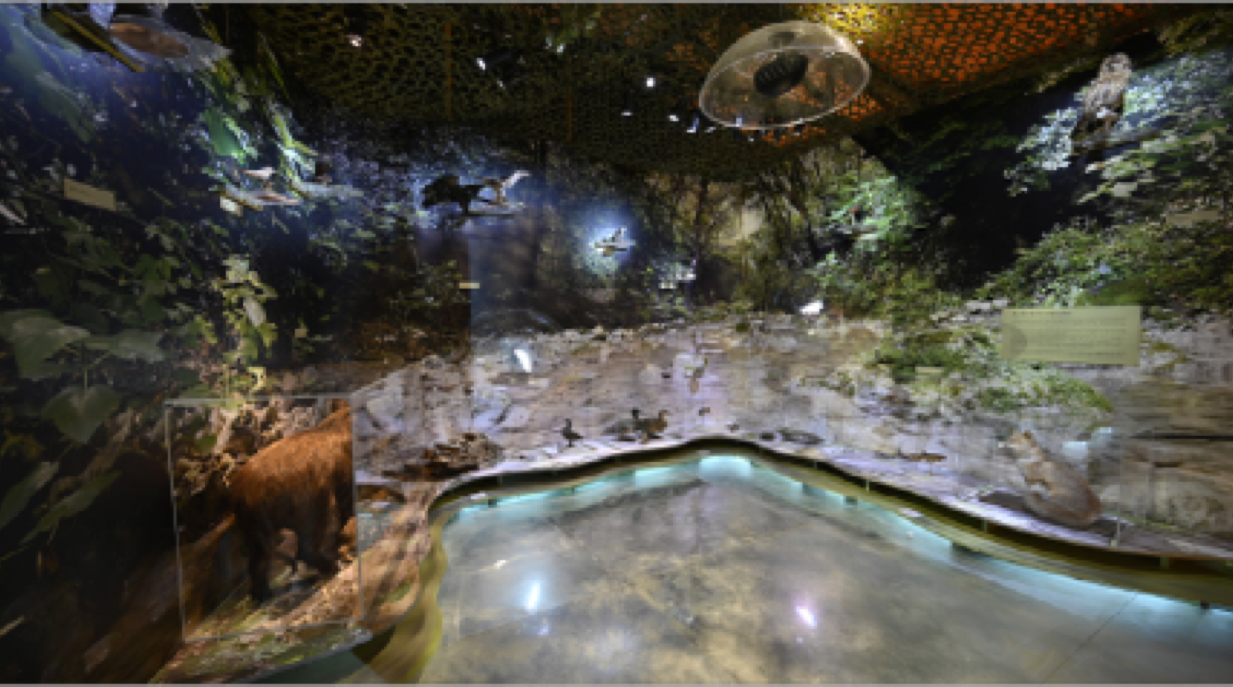 Exposition : Le Las : un fleuve et des hommes