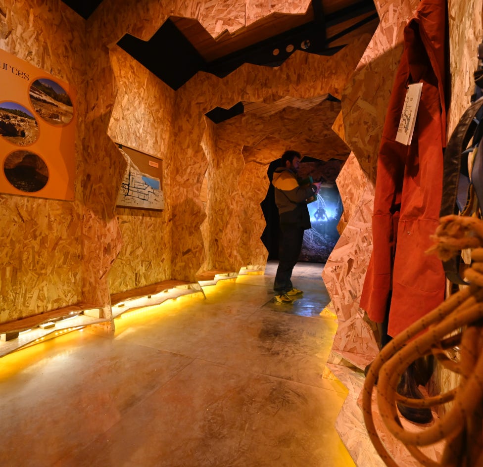 commissaire d'exposition