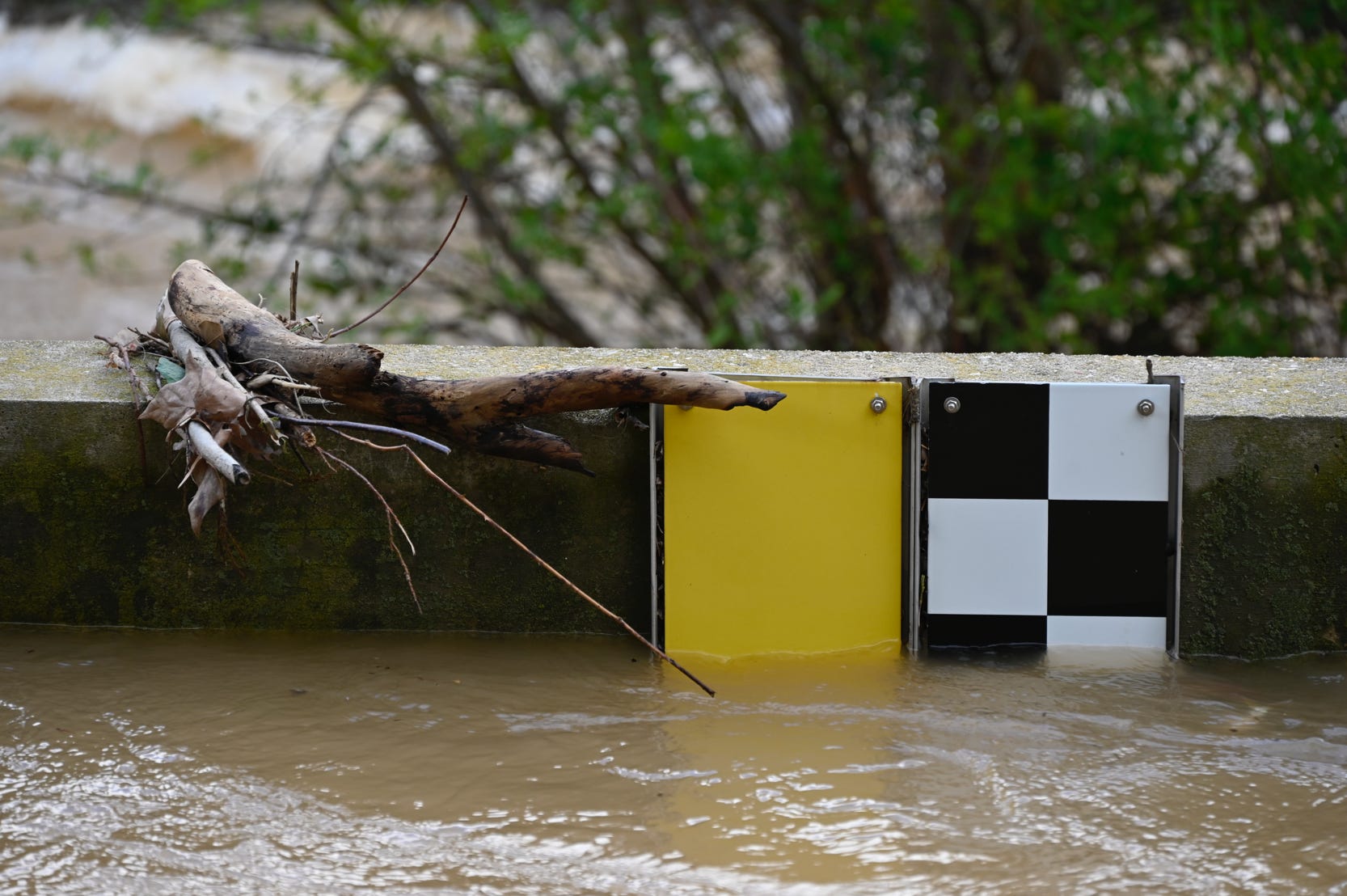 Le Jonquet - Toulon - Var